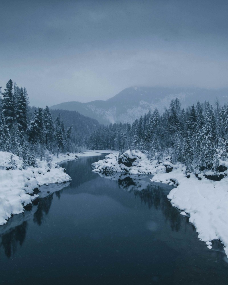 Wasser als Frostschutz!